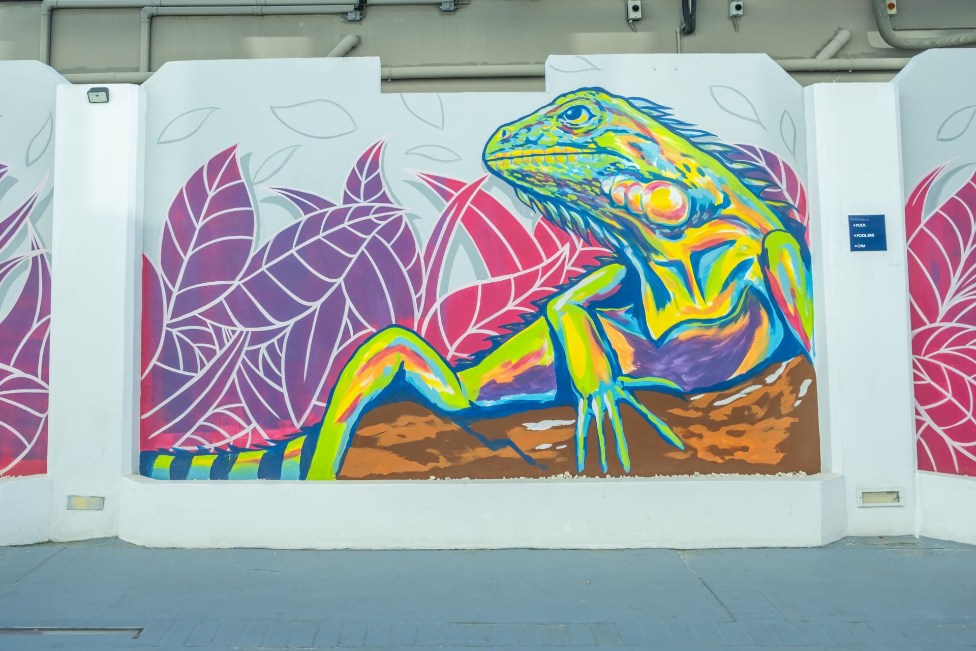 Colourful iguana mural on a resort wall