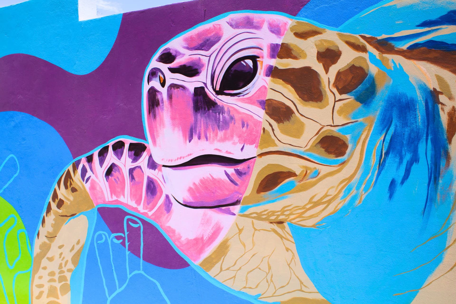 Colourful sea turtle mural